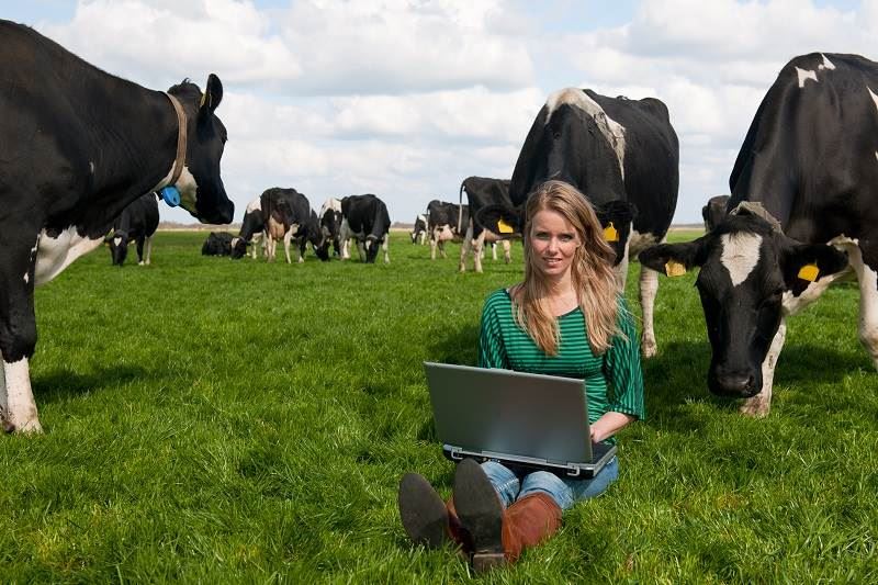 Read more about Microchips, milk, and the Beatles blog post