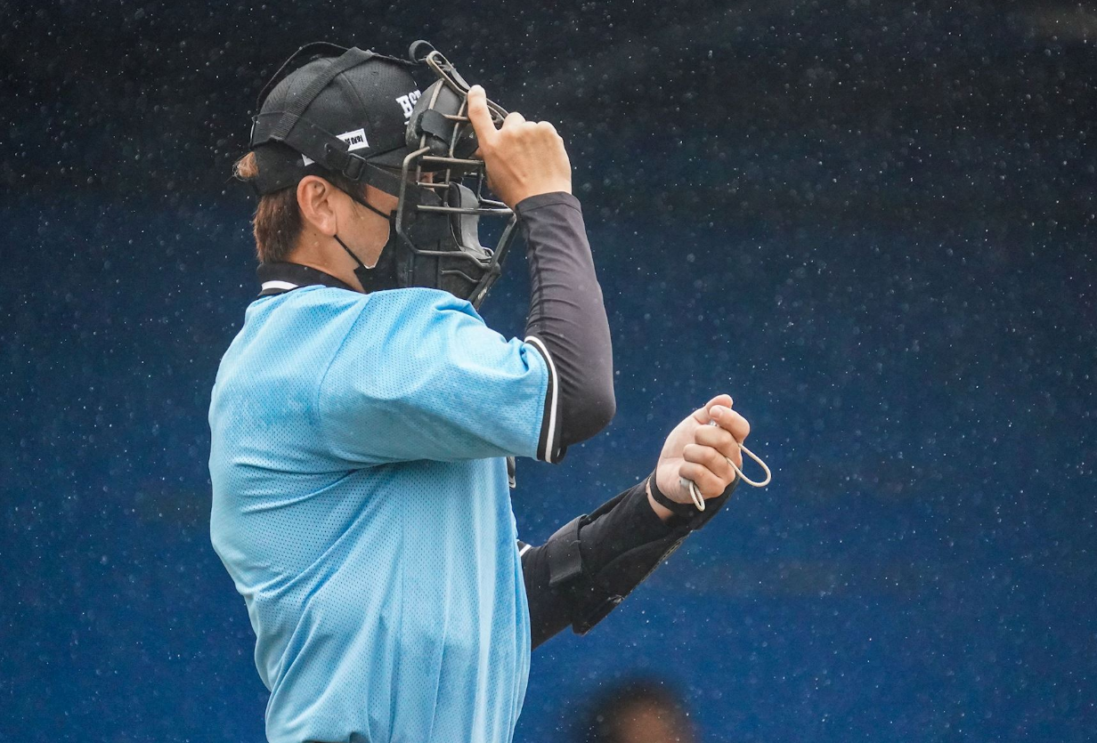 Baseball Umpire - image