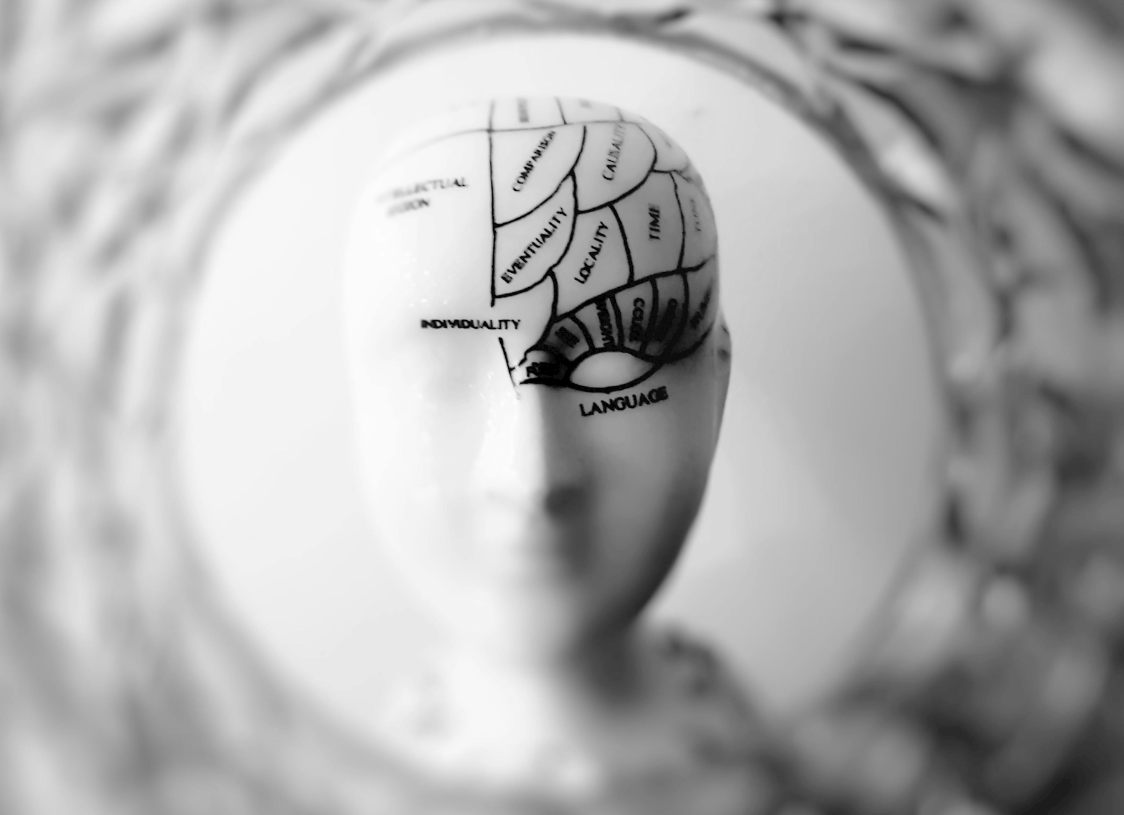 Brain Usage
